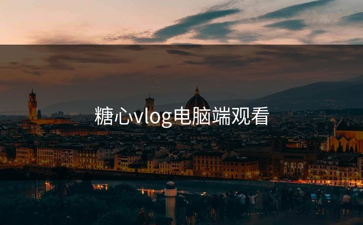糖心vlog电脑端观看