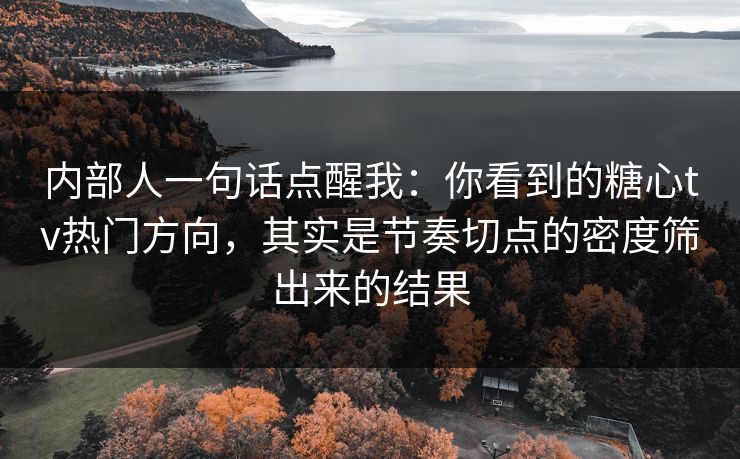 内部人一句话点醒我：你看到的糖心tv热门方向，其实是节奏切点的密度筛出来的结果