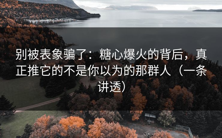 别被表象骗了:糖心爆火的背后,真正推它的不是你以为的那群人(一条讲透) 别被表象骗了:糖心爆火的背后,真正推它的不是你以为的那群人(一条讲透)