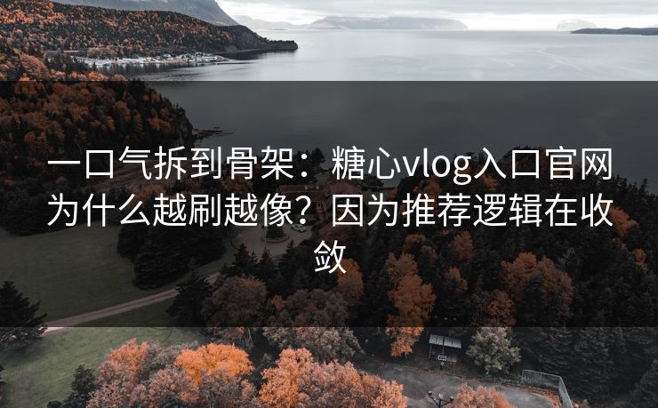 一口气拆到骨架:糖心vlog入口官网为什么越刷越像?因为推荐逻辑在收敛 一口气拆到骨架:糖心vlog入口官网为什么越刷越像?因为推荐逻辑在收敛