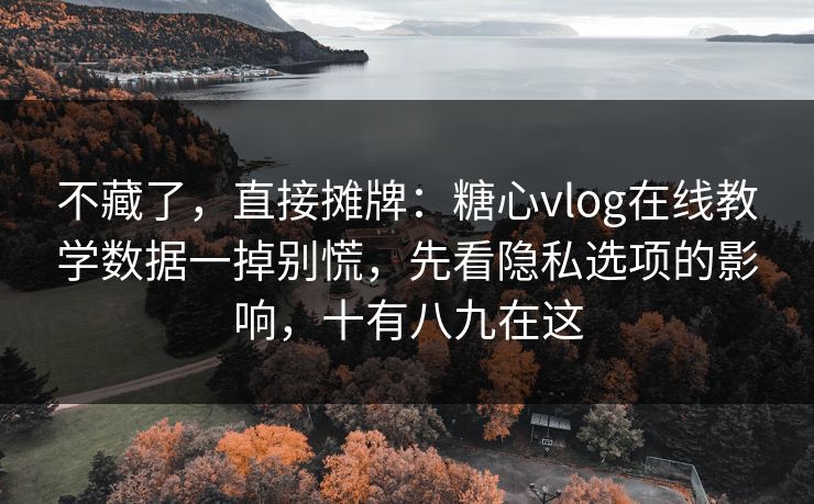 不藏了，直接摊牌：糖心vlog在线教学数据一掉别慌，先看隐私选项的影响，十有八九在这