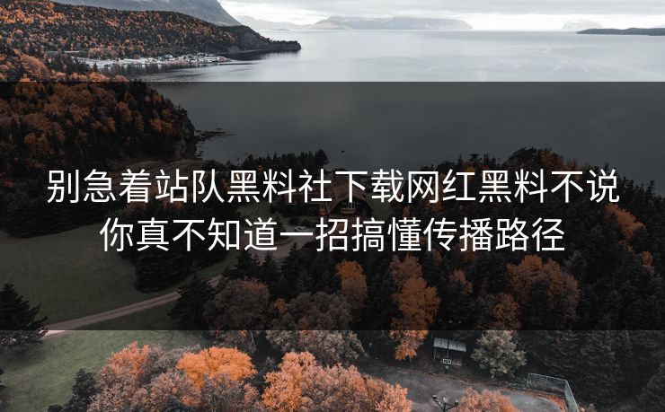 别急着站队黑料社下载网红黑料不说你真不知道一招搞懂传播路径
